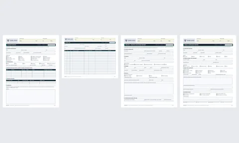 Report Forms Set (17) preview
